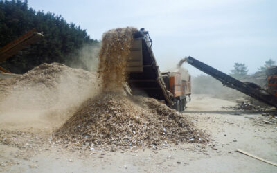 Wood Waste Management Facilities Visit